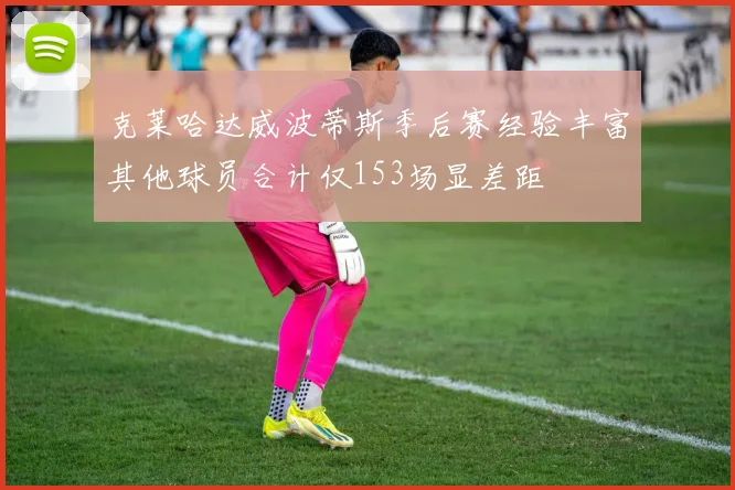 克莱哈达威波蒂斯季后赛经验丰富其他球员合计仅153场显差距